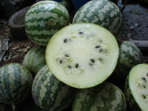 绿宝瓜能和草莓一起吃吗,健康美味两不误