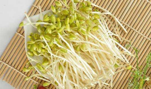 豆芽吃瓜番茄,瓜果番茄,营养美味两相宜 第2张 豆芽吃瓜番茄,瓜果番茄,营养美味两相宜 第2张