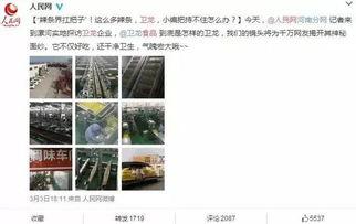 无死角吃瓜群众,揭秘娱乐圈幕后真相