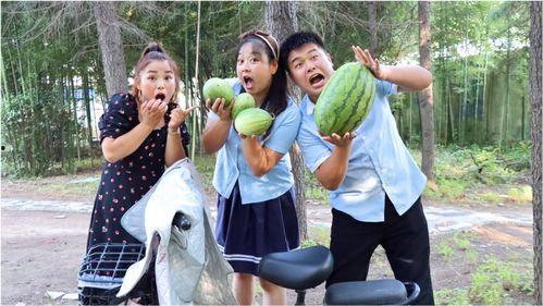 电机吃瓜 第2张 电机吃瓜 第2张