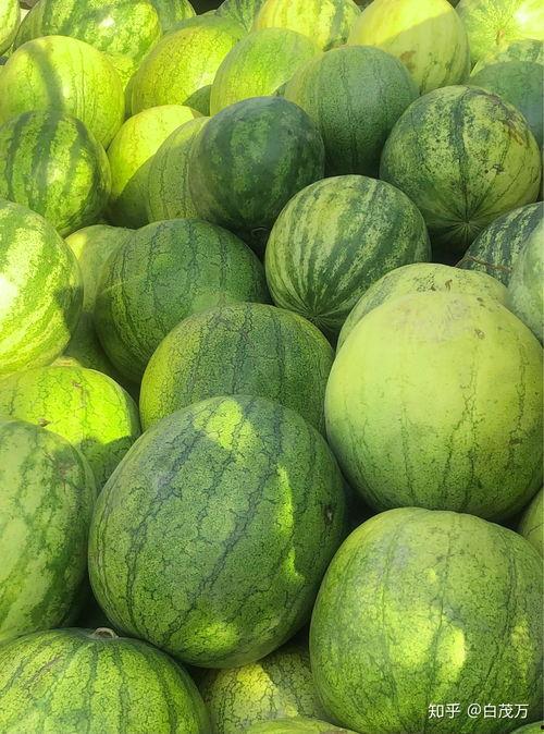 瓜了个瓜吃瓜,揭秘娱乐圈那些吃瓜群众的狂欢盛宴  第3张