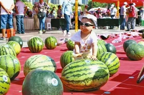 河南镇平吃瓜视频,一场别开生面的吃瓜盛宴  第2张