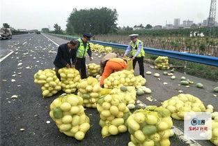 河南镇平吃瓜视频,一场别开生面的吃瓜盛宴  第3张