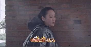 宁静自述吃瓜群众,揭秘娱乐圈“吃瓜群众”背后的故事 第2张 宁静自述吃瓜群众,揭秘娱乐圈“吃瓜群众”背后的故事 第2张