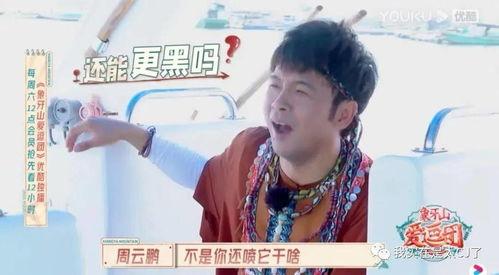 宝哥吃瓜王,揭秘娱乐圈幕后故事