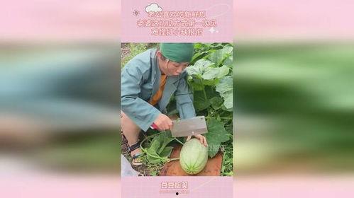 太太吃瓜,揭秘娱乐圈背后的那些事儿 第3张 太太吃瓜,揭秘娱乐圈背后的那些事儿 第3张