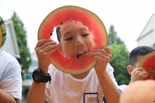 吃瓜的孩子视频,一场网络现象的狂欢与反思  第3张