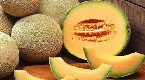 怀孕初期吃哈密瓜好吗,哈密瓜的营养益处与食用建议 第2张 怀孕初期吃哈密瓜好吗,哈密瓜的营养益处与食用建议 第2张