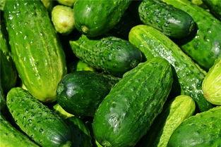 梦见别人给我面瓜吃,探寻神秘寓意与内心世界 第2张 梦见别人给我面瓜吃,探寻神秘寓意与内心世界 第2张