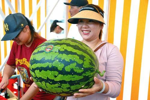 开心吃瓜,揭秘娱乐圈幕后故事  第3张