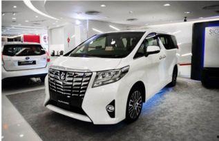 埃尔法plus 吃瓜,豪华MPV界的“吃瓜群众”新宠  第3张