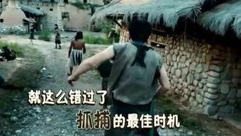 吃瓜娱乐君被告,揭秘娱乐圈背后的法律风云  第2张