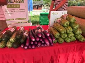 聚姬地吃瓜,揭秘娱乐圈背后的秘密与八卦  第3张