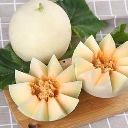 鸿儿吃瓜,揭秘娱乐圈幕后故事 第3张 鸿儿吃瓜,揭秘娱乐圈幕后故事 第3张