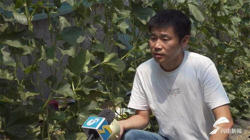 老吴天诺吃瓜,揭秘娱乐圈吃瓜背后的故事 第3张 老吴天诺吃瓜,揭秘娱乐圈吃瓜背后的故事 第3张