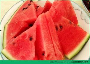 午饭后多久可以吃哈密瓜,午饭后多久适宜享用哈密瓜？健康饮食时间指南  第3张