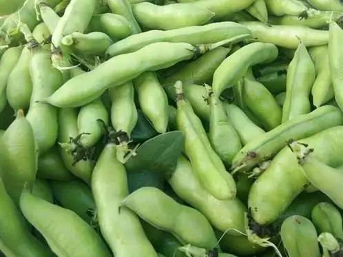 弥勒吃瓜触发机制,揭秘因果循环的神秘触发机制 第1张 弥勒吃瓜触发机制,揭秘因果循环的神秘触发机制 第1张