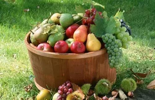 弥勒吃瓜触发机制,揭秘因果循环的神秘触发机制 第3张 弥勒吃瓜触发机制,揭秘因果循环的神秘触发机制 第3张