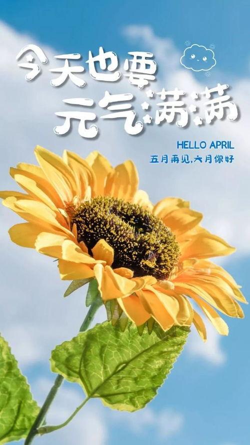 吃瓜夏日海报 第1张 吃瓜夏日海报 第1张