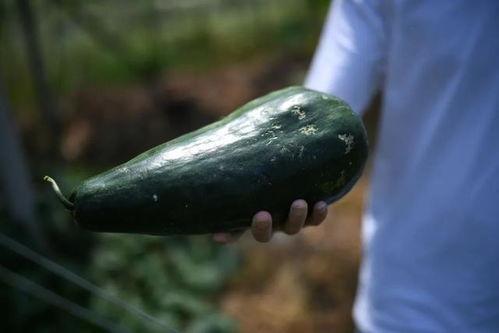 溧阳最新吃瓜,揭秘背后惊人真相 第2张 溧阳最新吃瓜,揭秘背后惊人真相 第2张