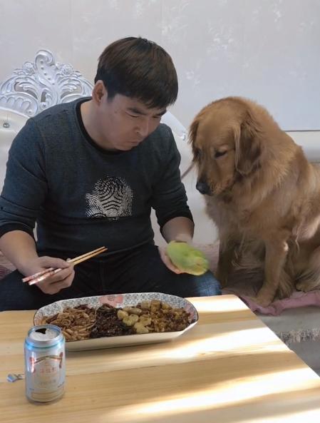 吃瓜主人的任务,一场关于瓜田的奇妙冒险