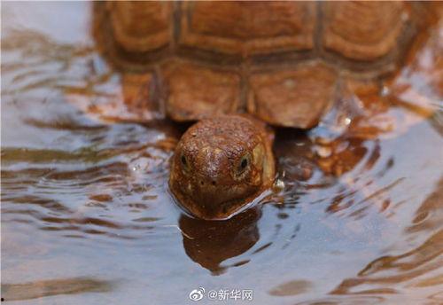 带你吃瓜满级动物 第2张 带你吃瓜满级动物 第2张