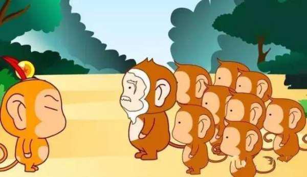 萌猴吃瓜记,趣味横生的夏日奇遇  第2张