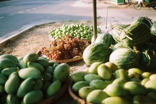 真实吃瓜视频大全集,揭秘真实吃瓜视频大全集  第3张