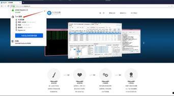 什么软件容易吃瓜,探索热门软件背后的瓜田奥秘  第3张