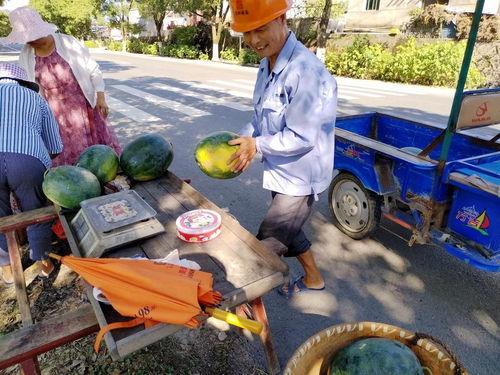 泉城吃瓜群众事件,网络热议背后的真相与反思  第3张