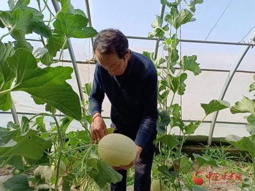 银县吃瓜,探寻当地特色美食之旅  第3张