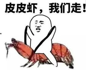 王小鑫吃瓜套路,吃瓜套路大公开