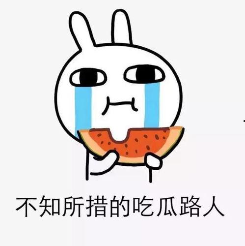 王小鑫吃瓜套路,吃瓜套路大公开 第2张 王小鑫吃瓜套路,吃瓜套路大公开 第2张