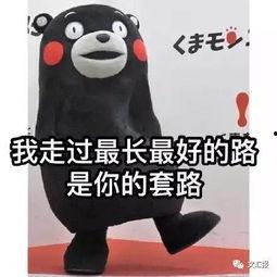 王小鑫吃瓜套路,吃瓜套路大公开 第3张 王小鑫吃瓜套路,吃瓜套路大公开 第3张