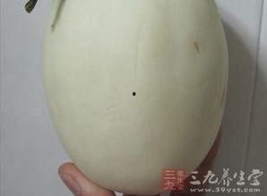 喉咙发痒吃小瓜,天然食疗缓解不适 第3张 喉咙发痒吃小瓜,天然食疗缓解不适 第3张