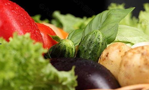 侯府吃瓜日常txt,揭秘侯府里的吃瓜日常 第2张 侯府吃瓜日常txt,揭秘侯府里的吃瓜日常 第2张