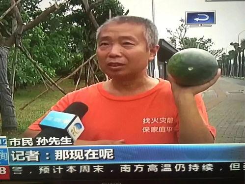 闵行吃瓜群众新闻,最新新闻事件深度解析