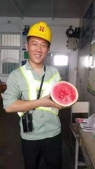 群众欢乐吃瓜模式,一场别开生面的“吃瓜”盛宴