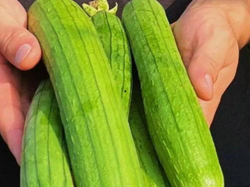 安康吃瓜,揭秘当地特色美食背后的故事