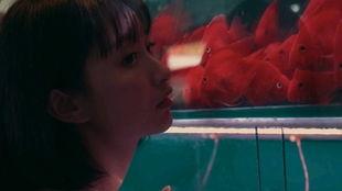 吃瓜少女情侣,吃瓜少女与情侣的甜蜜日常