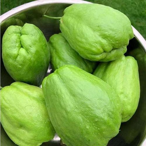 吃瓜头像黄色,网络文化新现象