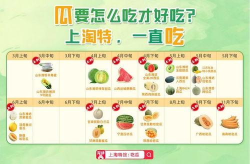 随机吃瓜第11章,揭秘随机吃瓜第11章的神秘事件