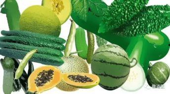 李子园吃瓜,揭秘瓜农的甜蜜生活