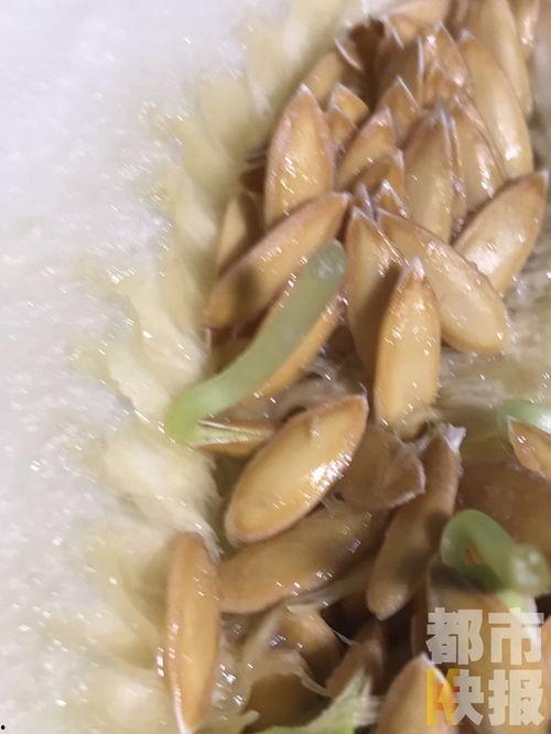 吃瓜李大姐,揭秘娱乐圈背后的故事