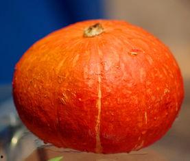 七七在吃瓜,娱乐圈幕后故事一网打尽