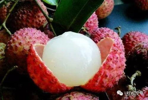 小宝宝可以吃荔枝蜜瓜吗