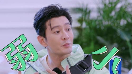 吃瓜闲人夏小刀,吃瓜闲人，揭秘娱乐圈幕后风云