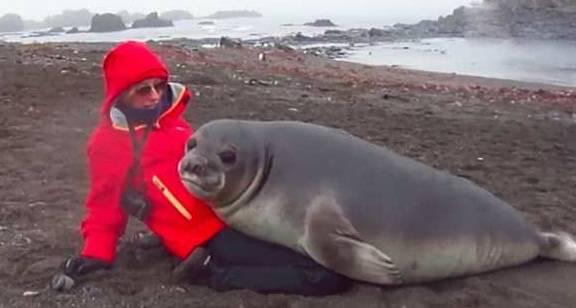 吃瓜小海豹,揭秘娱乐圈幕后故事