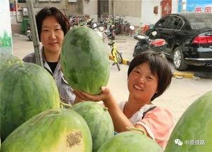 贵州小区吃瓜,邻里纠纷背后的社区治理思考