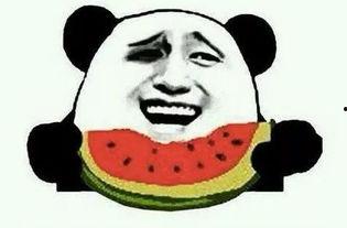 吃瓜的竟是自己